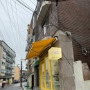 개어드레서 | 개봉동 고척동 강아지 미용_개어드레서