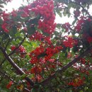 완횅열차/고속버스 이미지