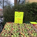 소소한사치 이미지