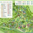 봄꽃체험코스 이미지