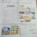 여주꿀벌농원 네이버블로그