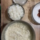 텔미포차