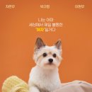 오늘펫
