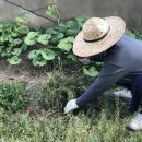 중앙농약농자재마트 이미지