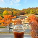 인천도호부관아(재현시설물) | 인천 도호부관아 향교 투썸플레이스 문학점 단풍명소 뷰 카페 가을나들이 가볼만한곳