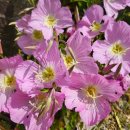 명문요양병원 이미지