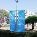 용인대학교 이미지