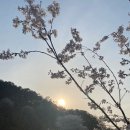 선일농장 | 대전 선일농장 _ 가족 식사, 오월드 맛집, 벚꽃길