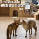 마리앤케이크 | 데이트&amp;아이랑 가볼만한곳 서면 실내동물원 마리앤쥬 후기•이색데이트 추천•부산 가볼만한곳•이색...