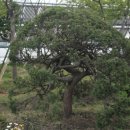 바라밀실버하우스 이미지