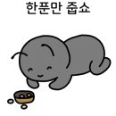 홍대네컷 이미지