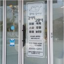 꿈꾸는강아지 - 홍성군 도청대로 296-13 | 꿈꾸는강아지