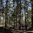 코리아둘레길 ’남파랑길’(해남구간) 이미지