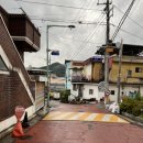 청년피자 김천시청점 이미지