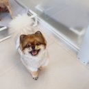 김구백이 이미지