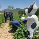 대강면 가덕마을 이미지