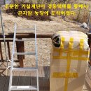 새봄농장(2) 네이버블로그