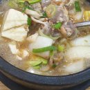마두차돌백이