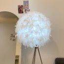 레이첼일산 | 일산속눈썹펌 주엽속눈썹펌 레이첼일산 솔직한 후기