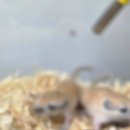 몬스타주 이미지