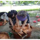 봉양중학교 이미지