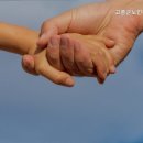 고흥군노인전문요양원 이미지