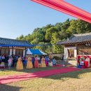 2025 금당야행 이미지