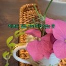 사림동261 이미지