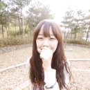세트리다