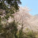제주에선쪼끌락