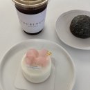 로브니