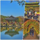 궁남지 서문주차장 | 부여 궁남지 백제고도 국화축제 행사 후기 주차 야경 부여여행 갈만한곳