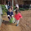 체리쉬어린이집 이미지