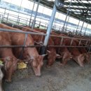 연흥농장 이미지