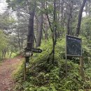 지리산풀잎 이미지
