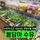 담아가 | 내돈내산 수유역 봄담아 수유점 후기 | 평일디너 샤브샤브 무한리필 메뉴판 재료종류