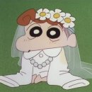 나연결혼정보 | 결혼준비 체험단 웨딩 협찬 제휴 커뮤니티 유어데이 추천 후기 (오픈채팅, 네이버 카페)