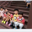 김태영축구장 이미지