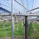 심가네농장 이미지