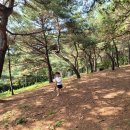 소산서원 유아숲체험원 이미지