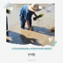 일원농장 | 가기 좋은 곳 진저팜 , 치앙마이진저팜키친, 치앙마이미슐랭맛집, 치앙마이원데이클래스, 치앙마이농장체험