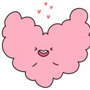 스튜디오풀라이트 이미지