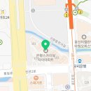 낮샴화 이미지