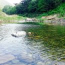 달빛이머무는둥지 이미지