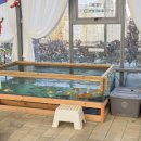 정복농장 | 용인 농장 체험, 포레스트벨 동물 먹이주기와 딸기 체험까지 완벽 정복!