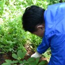 개풍농장 이미지