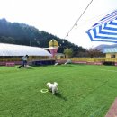 땡큐펜션 이미지