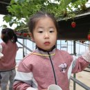 명호초등학교병설유치원 이미지