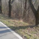 멘토링공인중개사사무소 이미지