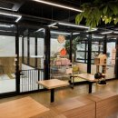 방앤피그 이미지